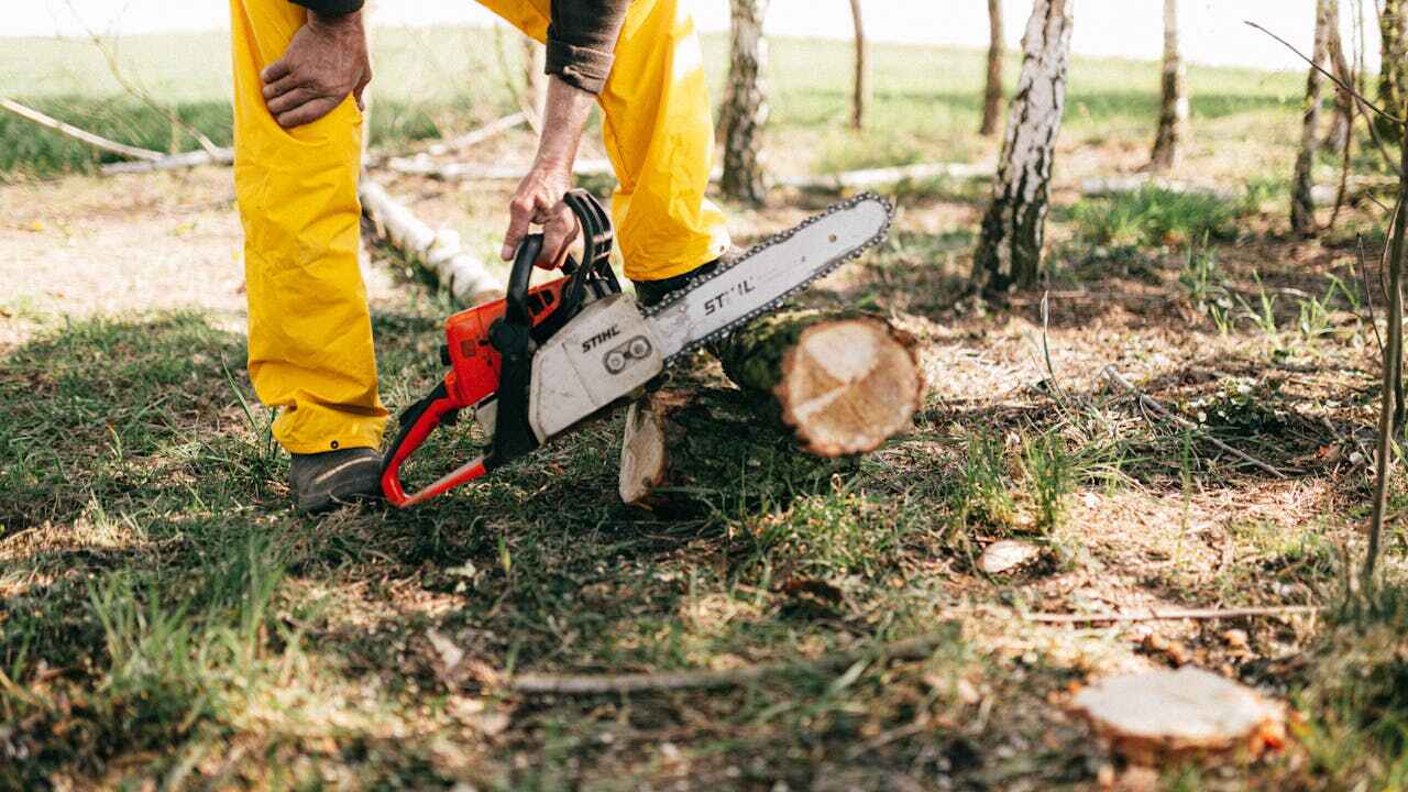 Emergency Storm Tree Removal in Driggs, ID